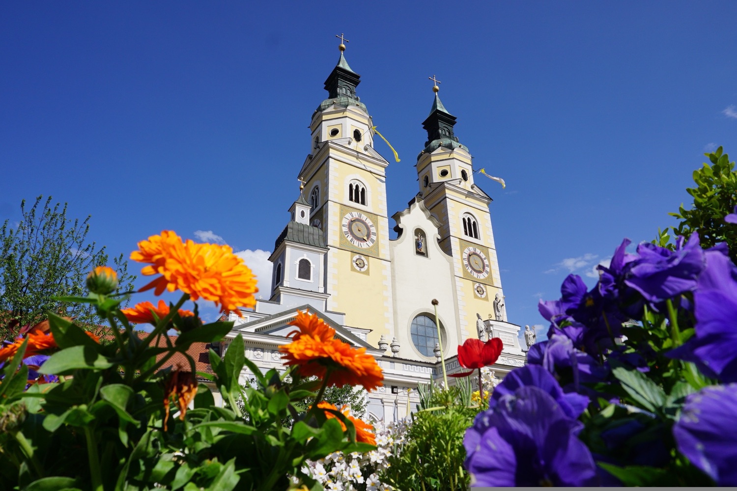 Frühling in Brixen