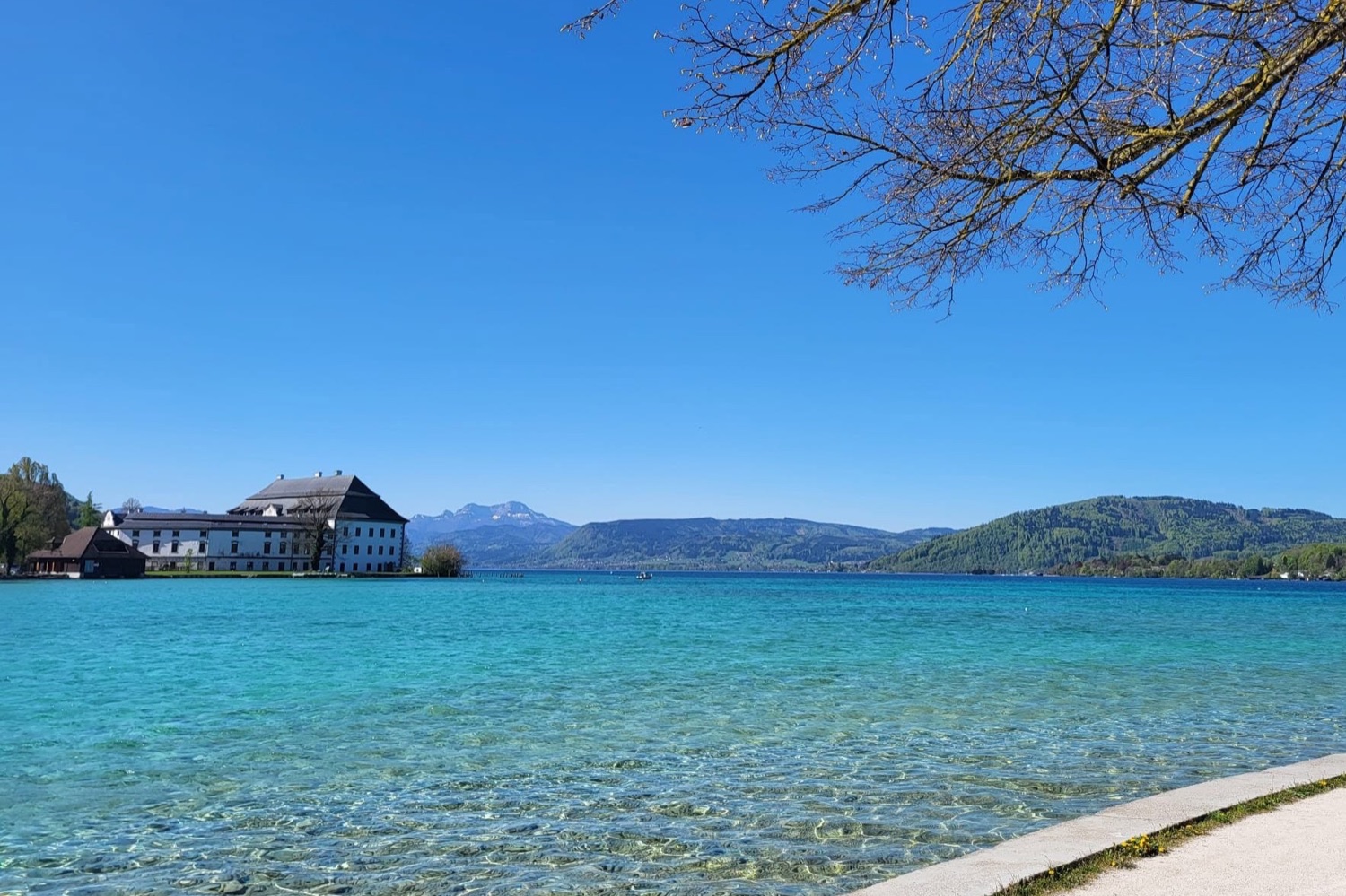 Autofreier Erlebnistag am Attersee