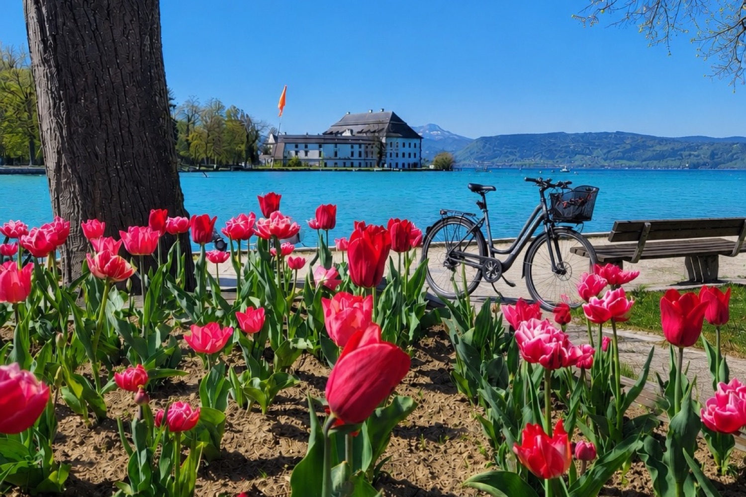 Autofreier Rad-Erlebnistag am Attersee