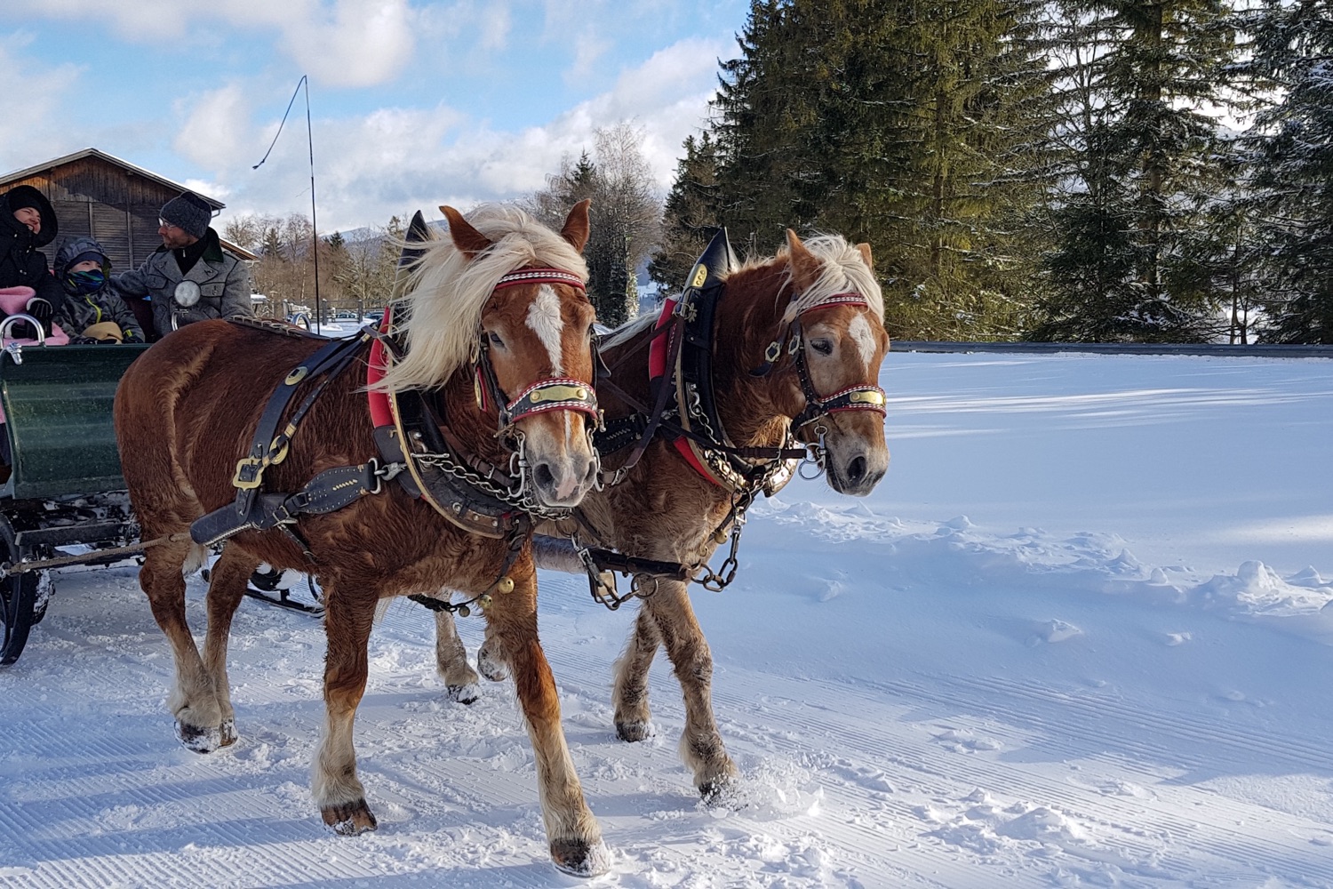 Berchtesgadener Advent